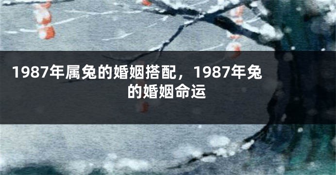 1987年属兔的婚姻搭配，1987年兔的婚姻命运