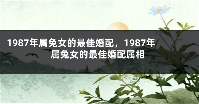 1987年属兔女的最佳婚配，1987年属兔女的最佳婚配属相