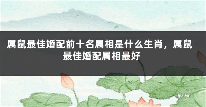 属鼠最佳婚配前十名属相是什么生肖,属鼠最佳婚配属相最好