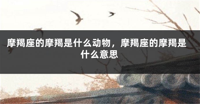 摩羯座的摩羯是什么动物，摩羯座的摩羯是什么意思