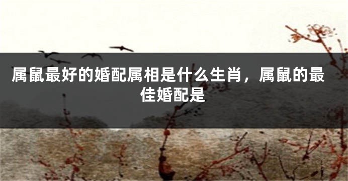 属鼠最好的婚配属相是什么生肖,属鼠的最佳婚配是