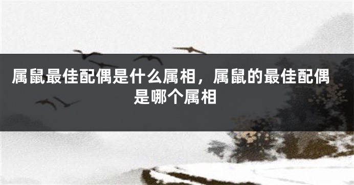 属鼠最佳配偶是什么属相，属鼠的最佳配偶是哪个属相