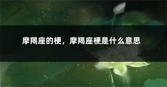 摩羯座的梗，摩羯座梗是什么意思