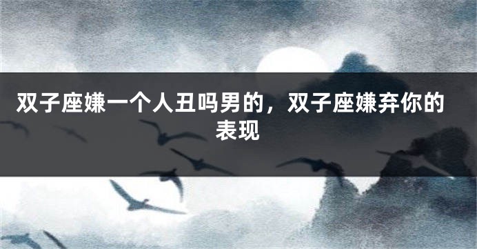 双子座嫌一个人丑吗男的，双子座嫌弃你的表现