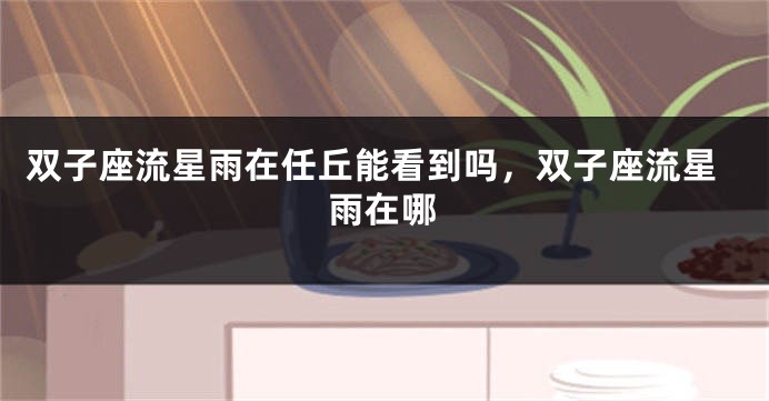 双子座流星雨在任丘能看到吗，双子座流星雨在哪