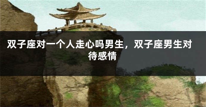 双子座对一个人走心吗男生，双子座男生对待感情