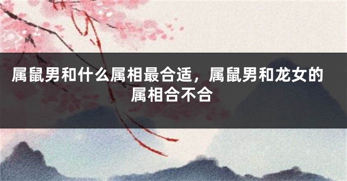 属鼠男和什么属相最合适，属鼠男和龙女的属相合不合