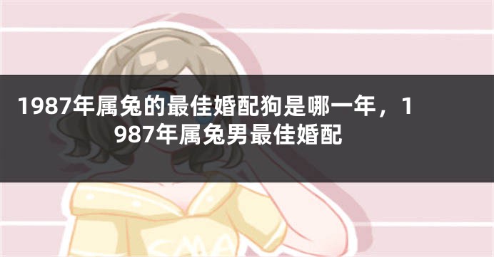 1987年属兔的最佳婚配狗是哪一年，1987年属兔男最佳婚配