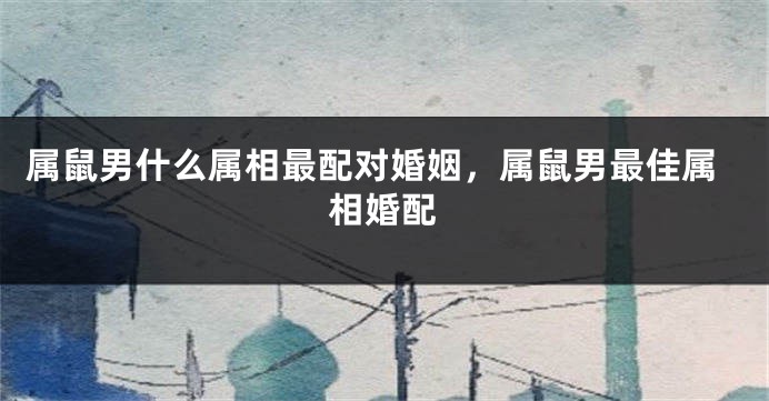 属鼠男什么属相最配对婚姻,属鼠男最佳属相婚配