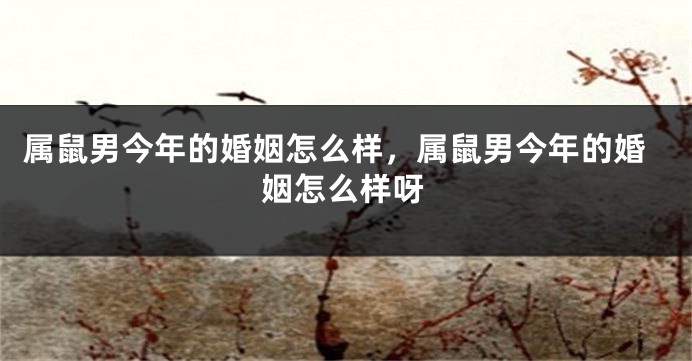 属鼠男今年的婚姻怎么样，属鼠男今年的婚姻怎么样呀