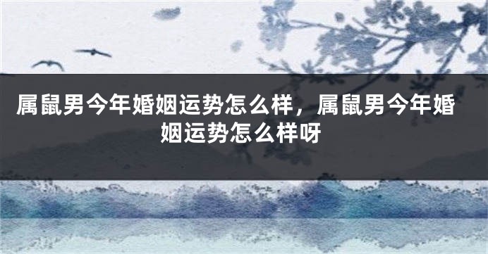 属鼠男今年婚姻运势怎么样，属鼠男今年婚姻运势怎么样呀