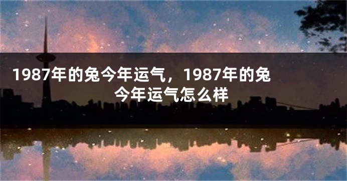 1987年的兔今年运气，1987年的兔今年运气怎么样