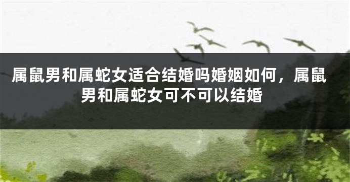 属鼠男和属蛇女适合结婚吗婚姻如何，属鼠男和属蛇女可不可以结婚