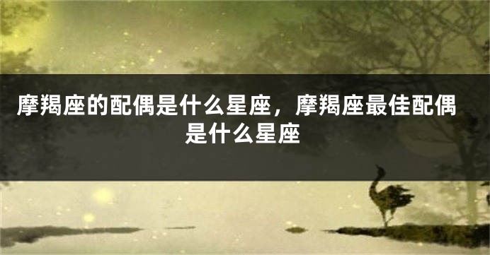 摩羯座的配偶是什么星座，摩羯座最佳配偶是什么星座