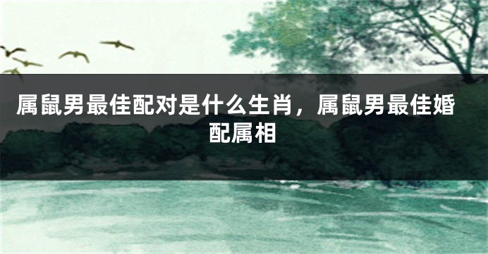 属鼠男最佳配对是什么生肖,属鼠男最佳婚配属相