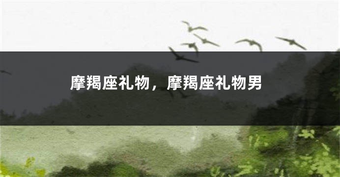 摩羯座礼物，摩羯座礼物男