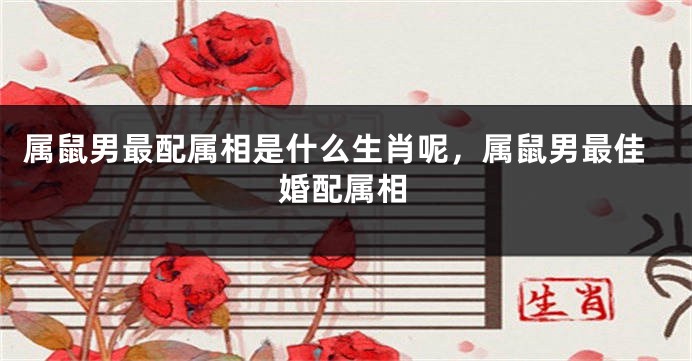 属鼠男最配属相是什么生肖呢，属鼠男最佳婚配属相
