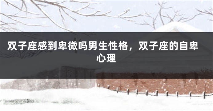 双子座感到卑微吗男生性格，双子座的自卑心理