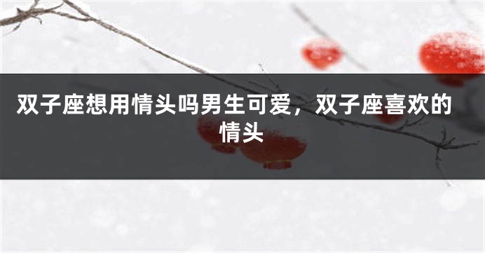 双子座想用情头吗男生可爱，双子座喜欢的情头
