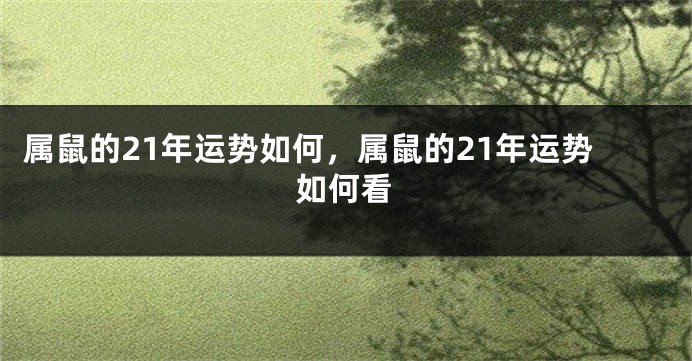 属鼠的21年运势如何，属鼠的21年运势如何看