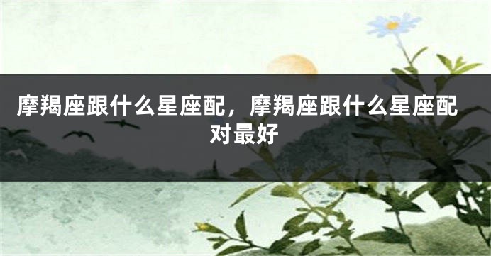 摩羯座跟什么星座配，摩羯座跟什么星座配对最好