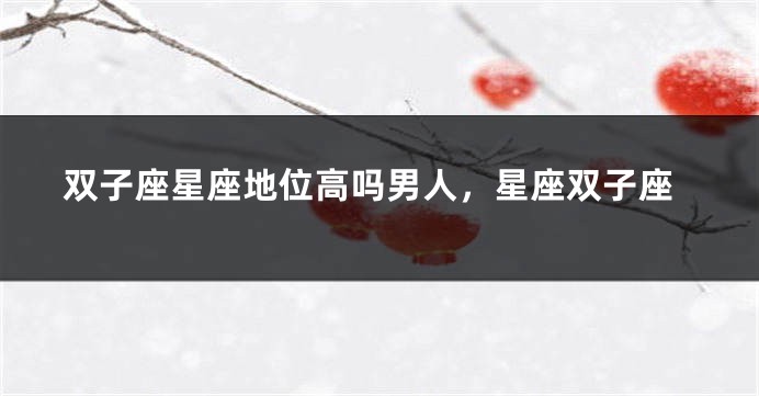 双子座星座地位高吗男人，星座双子座