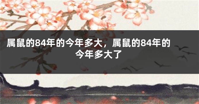 属鼠的84年的今年多大，属鼠的84年的今年多大了