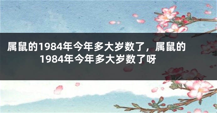 属鼠的1984年今年多大岁数了，属鼠的1984年今年多大岁数了呀