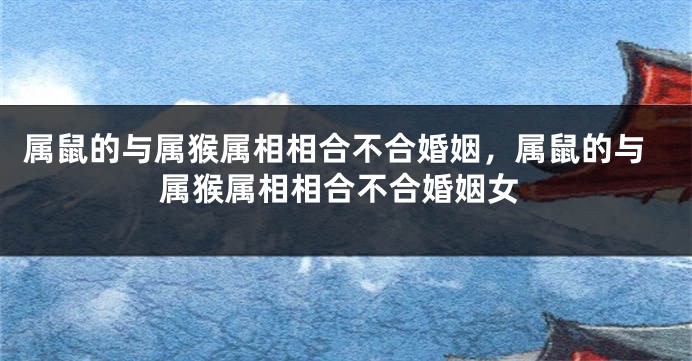 属鼠的与属猴属相相合不合婚姻，属鼠的与属猴属相相合不合婚姻女