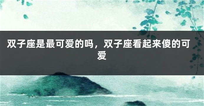 双子座是最可爱的吗，双子座看起来傻的可爱