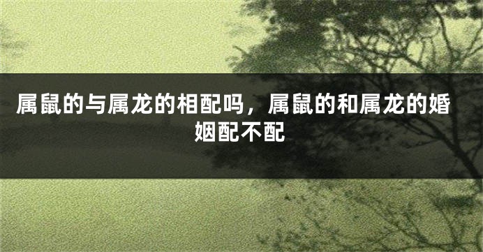 属鼠的与属龙的相配吗，属鼠的和属龙的婚姻配不配