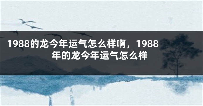 1988的龙今年运气怎么样啊，1988年的龙今年运气怎么样