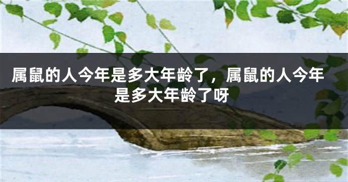 属鼠的人今年是多大年龄了，属鼠的人今年是多大年龄了呀