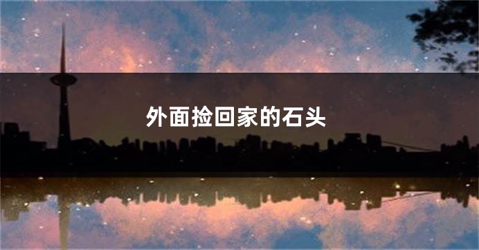 外面捡回家的石头