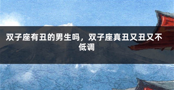 双子座有丑的男生吗，双子座真丑又丑又不低调