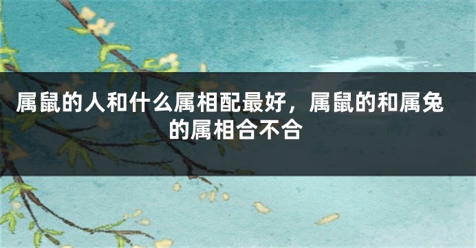 属鼠的人和什么属相配最好，属鼠的和属兔的属相合不合