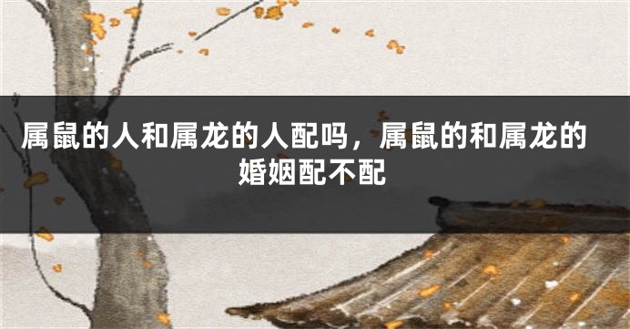 属鼠的人和属龙的人配吗，属鼠的和属龙的婚姻配不配