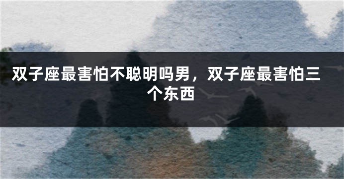 双子座最害怕不聪明吗男，双子座最害怕三个东西