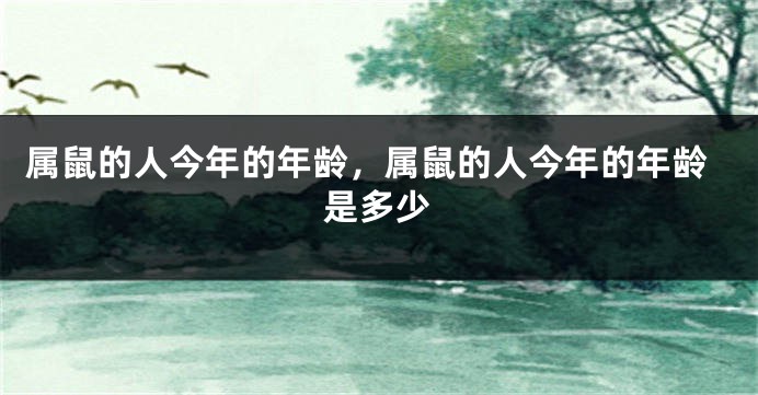 属鼠的人今年的年龄，属鼠的人今年的年龄是多少