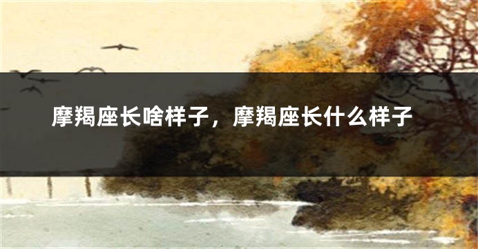 摩羯座长啥样子，摩羯座长什么样子