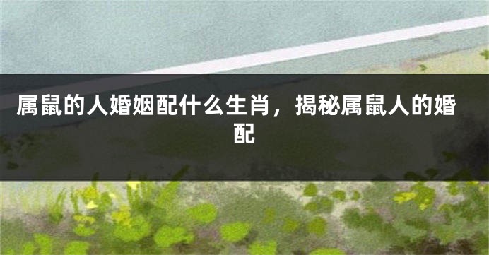 属鼠的人婚姻配什么生肖，揭秘属鼠人的婚配