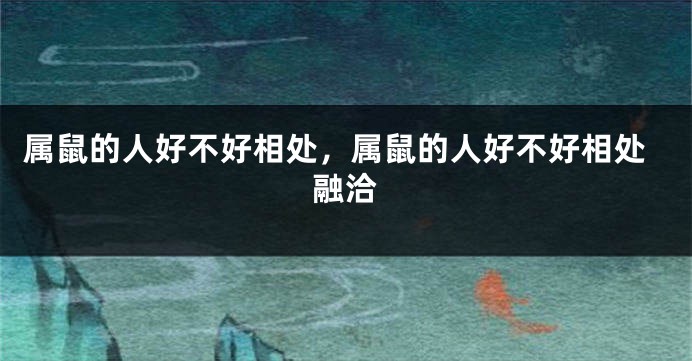 属鼠的人好不好相处，属鼠的人好不好相处融洽