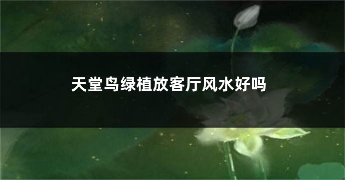 天堂鸟绿植放客厅风水好吗