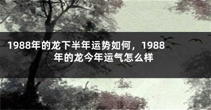 1988年的龙下半年运势如何，1988年的龙今年运气怎么样