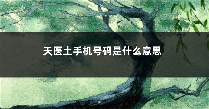 天医土手机号码是什么意思