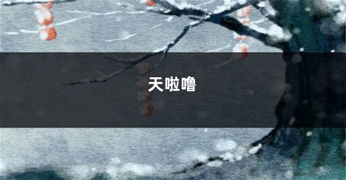 天啦噜