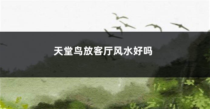 天堂鸟放客厅风水好吗