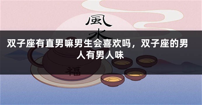 双子座有直男嘛男生会喜欢吗，双子座的男人有男人味