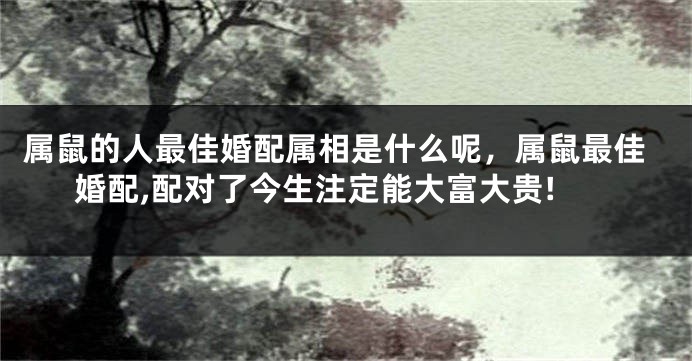 属鼠的人最佳婚配属相是什么呢，属鼠最佳婚配,配对了今生注定能大富大贵!