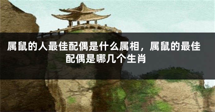 属鼠的人最佳配偶是什么属相，属鼠的最佳配偶是哪几个生肖
